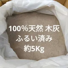 Item thumbnail for item 052cc5bc-4f6d-4440-962c-c074e5d150af