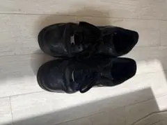 Item thumbnail for item 84d9c07a-f5a1-415e-b723-f9d2f58baaa8