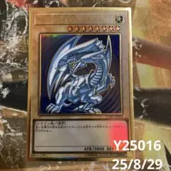 2025年最新】青眼の白龍 プレミアムゴールドの人気アイテム