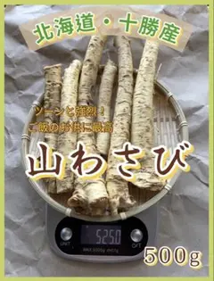 ⑲北海道産 天然山わさび 500gのサムネイル