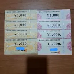 ビックカメラ　コジマ　株主優待券　4,000円分