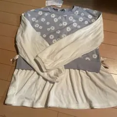 Item thumbnail for item c157f2ab-53fa-43ce-9fce-9e3a4b493322