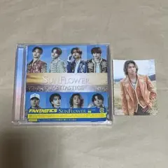 FANTASTICS sunflower CD トレカ 瀬口黎弥