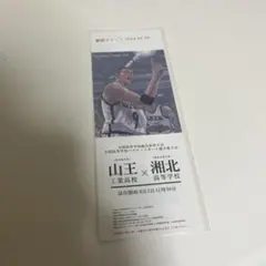 THE FIRST SLAM DUNK 試合チケット　入場者特典