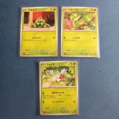 ポケモンカード サボネア ツタージャ シェイミ 3枚セット