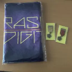 嵐　ARASHI THE DIGITALIAN タオル　メダルブローチセット