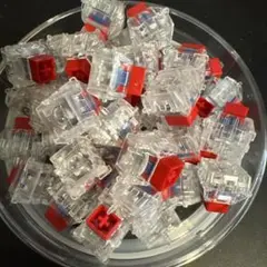 TTC KOM RGB 磁気キーボード用スイッチ　40pcs