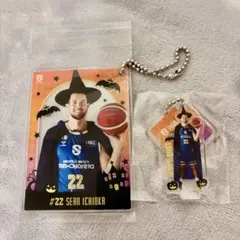 Item thumbnail for item 17168f6e-126d-49b4-8480-d8b7aa3654cc