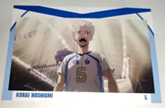 ハイキュー!! 星海光来 ポストカード その5