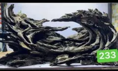 2026年最新】マシンガンウッドの人気アイテム - メルカリ