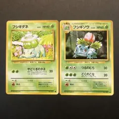 旧裏ポケモンカード　フシギダネ　フシギソウ★ 第1弾拡張パック