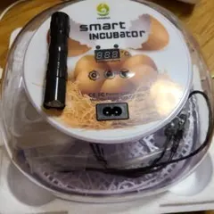 Item thumbnail for item 85d5c9db-fe65-4d84-b400-3fffae8cb3aa