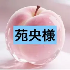 苑央様 リクエスト 3点 まとめ商品