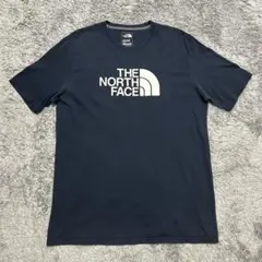 ノースフェイス ビッグプリント ビッグロゴ THE NORTH FACE Lのサムネイル