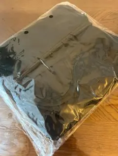 Item thumbnail for item 641f1c0d-2eeb-48bf-ba42-60ea52ffdf8d