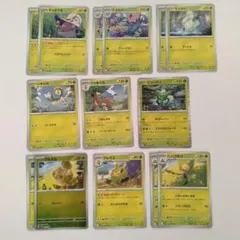 ホワイトフレア　草タイプ　14枚　進化ライン　モンスターボールミラー