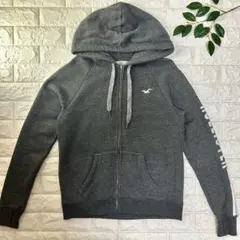HOLLISTER ホリスター レディース 袖ビッグロゴ ジップパーカー Y2K