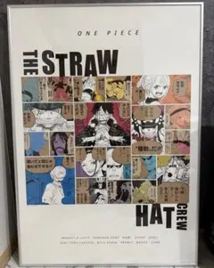 ワンピース ポスターのみ