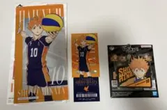一番くじ ハイキュー　ラバーチャーム　チケットケース　日向　②