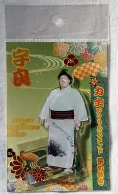 Item thumbnail for item 8beb6599-452a-4d60-90aa-84114dde1d3c