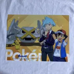 ②訳あり ポケモン ダイゴ＆色違いのメタグロス クリアファイル Pokemon