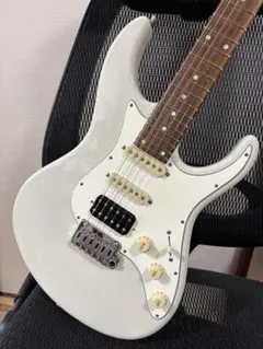 2026年最新】Freedom custom guitarの人気アイテム - メルカリ