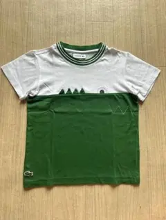 LACOSTE 半袖 Tシャツ 4サイズのサムネイル
