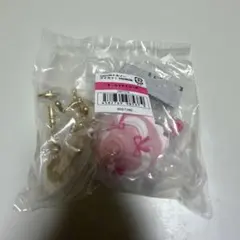 アイカツ　トルソー　オーロラキスコーデ　オンライン版