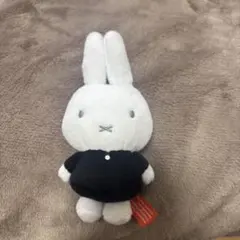 Item thumbnail for item fa2965c9-891f-47a0-892f-ce3b9b926374