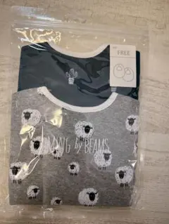 BEAMS スタイ2枚セット