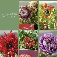 ジャスミン様　リクエスト　おまとめ5点