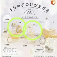 うちの子のけだまだま　2個セット