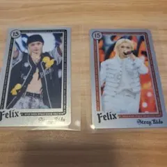 スキズ フィリックス エコパ ライブフォトカード2枚セット