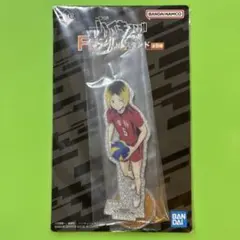 一番くじ ハイキュー!! F賞アクリルスタンド 孤爪研磨
