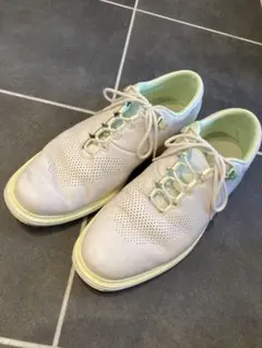 【レアカラー】ゴルフシューズ ナイキ　ジョーダン　ADG4 エメラルドグリーン GO/LOOK!（ゴルック） | ジョーダンADG4 □ グレー×グリーン