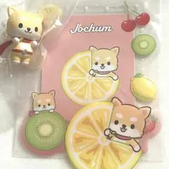 JOCHUM まめちぃ グッズまとめ売り