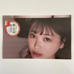 Item thumbnail for item 6c0bb5de-600a-4f78-be85-1fd45f73841c