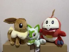 ポケモンぬいぐるみ　ニャオハ　イーブイ　ホゲータ　3体