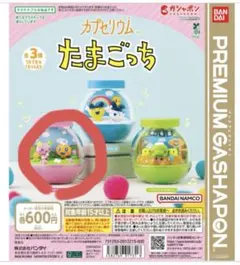 カプセリウム たまごっち　ふらわっち&めめっち