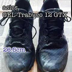 ⑧ asics GEL-Trabuco 12 GTX　アシックス　ランニング