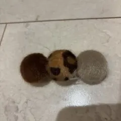 Item thumbnail for item 24f7c259-fcf0-4acb-8297-e318b91d056a