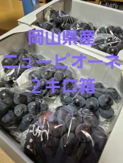 岡山県産ニューピオーネ 2房、白鳳ロイヤル11個入り - メルカリ