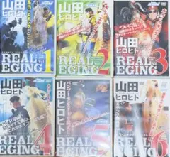 ❤️26枚セット❤️爆釣り☆ルアー☆アジング☆秋丸美帆☆非売品