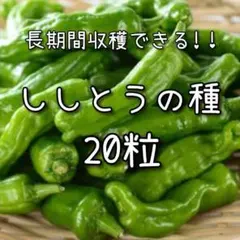 KOMO様 リクエスト 4点 まとめ商品