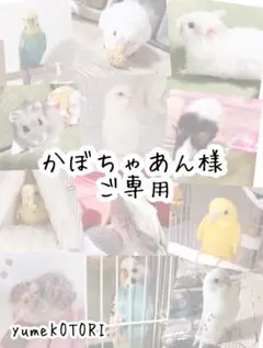 Item thumbnail for item c097dec2-3ac7-4bd1-aacc-e5cdf8216475