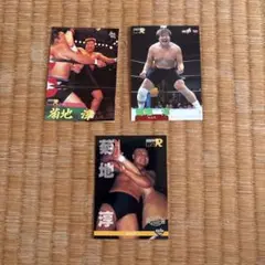 菊地淳　プロレス カード3枚セット