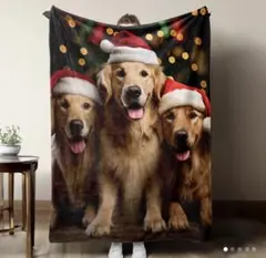 Item thumbnail for item 07de012c-2824-4448-8c0d-8fb9c2a5e838