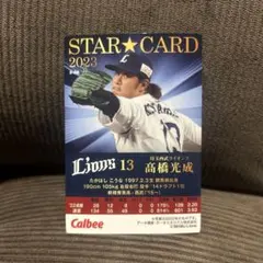 Item thumbnail for item 543ac2af-8d5f-4256-a2cc-bbc0e1b74cc0