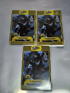 Item thumbnail for item a9ee8e9e-95ef-4af5-80a3-1394f8f71834