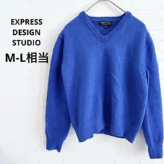 希少色❣️EXPRESS 【M-L相当】イタリアンメリノウール Vネックセーター